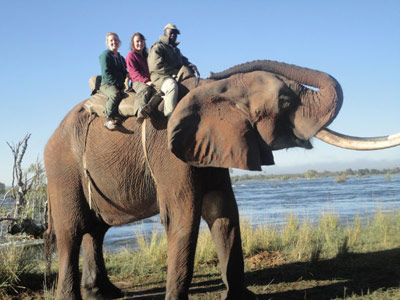 Riding an elephant