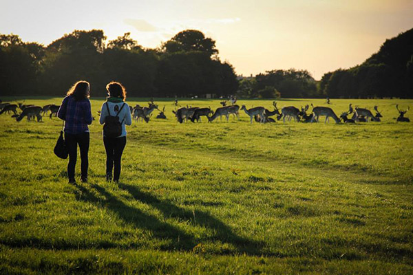 Bridget and her roommate at Phoenix Park in Dublin