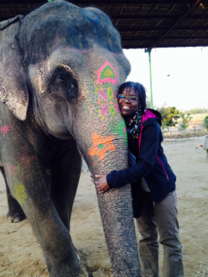 volunteer and elephant