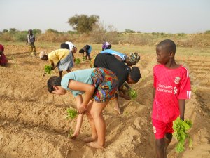 Paulina working with a women's agricultural co-op that she interned with.