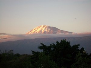 View of Mt. Kilimanjaro from Moshi