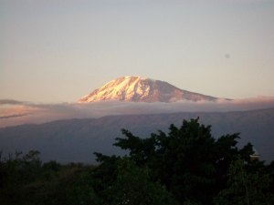 View of Mt. Kilimanjaro from Moshi