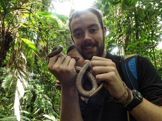 wildlife in Cusuco National Park 