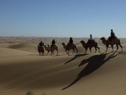 Devon camel riding in the Alxa Desert!
