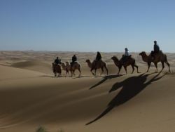 Devon camel riding in the Alxa Desert!