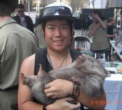 Sean holding an Aussie icon - the Koala!