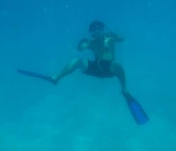 Snorkelling in the Great Barrier Reef!