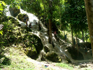 Sticky Waterfall