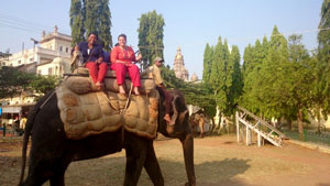 Elephant Ride