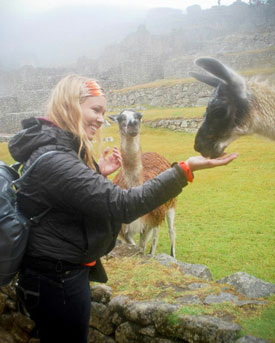 Machu Picchu