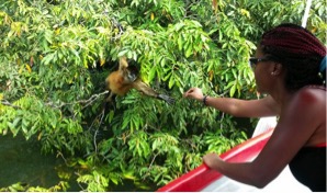 Feeding a monkey 