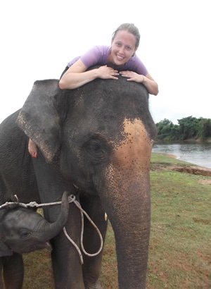 elephant