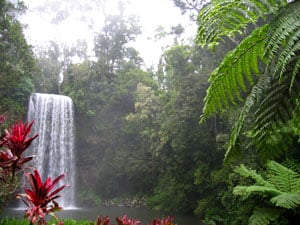 Millaa Millaa Falls, Atherton Tablelands