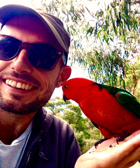 parrot feeding