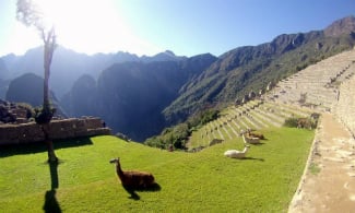 machu picchu