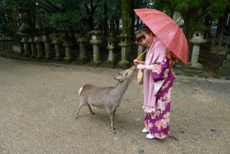 woman feeding a deer