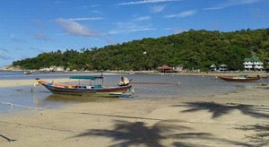 Volunteer on a beach in Thailand. thailand beach