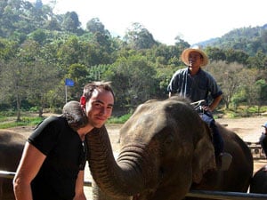 elephant thailand