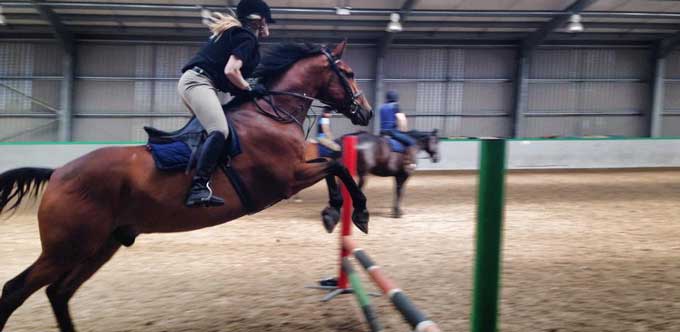jumping horse