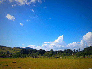 A picture of the open fields on the drive back from service. 