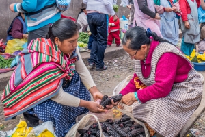 Volunteering in Cusco