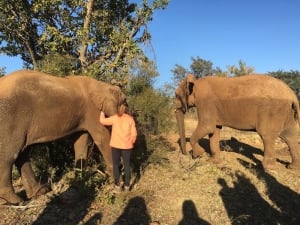 Volunteering with ISV in South Africa