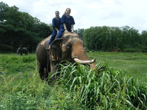 Tabor and Jessica take Plai Thong for a walk to eat some lunch