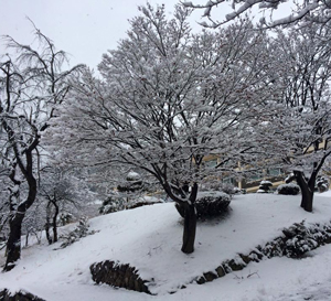 Winter in Korea