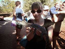 crocodile park