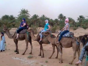 Riding camels through the Sahara desert