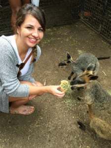 Feeding the kangaroos