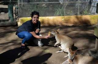 girl feeding wallaby
