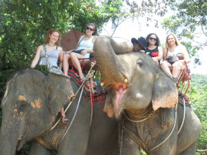 students riding elephants in australia