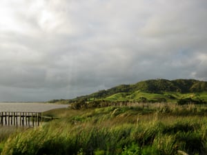 new zealand view