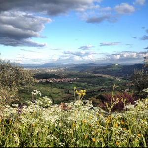 tuscany in spring