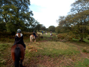 Horseback riding in Wales