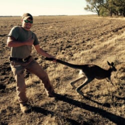 man holding a kangaroo australia