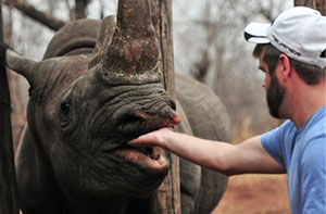Rhino and volunteer
