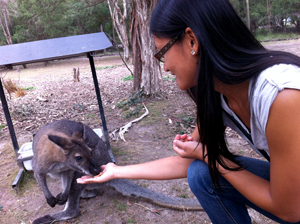 Feeding a wallaby