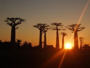 sunset in madagascar 