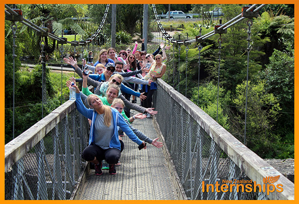 Fun day trip in New Zealand!