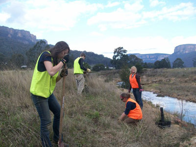 planting trees in Australia