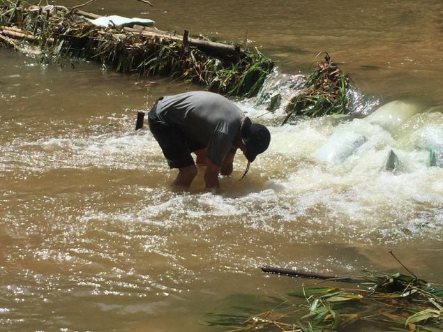 Volunteering in Thailand