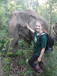 Working with elephants in Asia