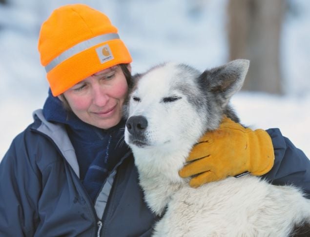 mushing with dogs