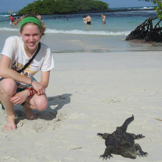 Galapagos Wildlife