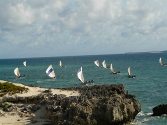 Sailboats 