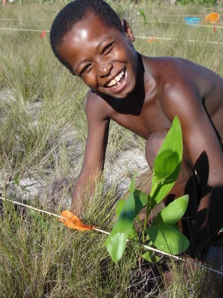 Malagasy boy plants tree