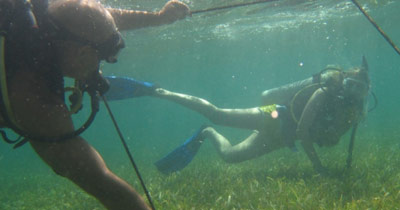 Diving in Mexico