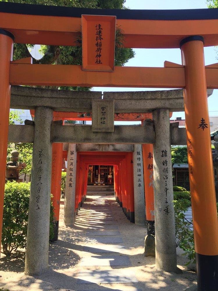 Photo by Aden J, Greenheart Travel Japan Alum How a Homestay will Benefit your Language Skills